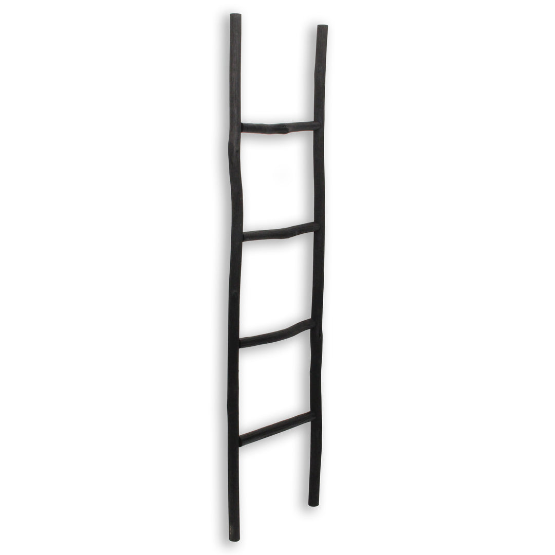 5310 - Theron Wood Décor Ladder
