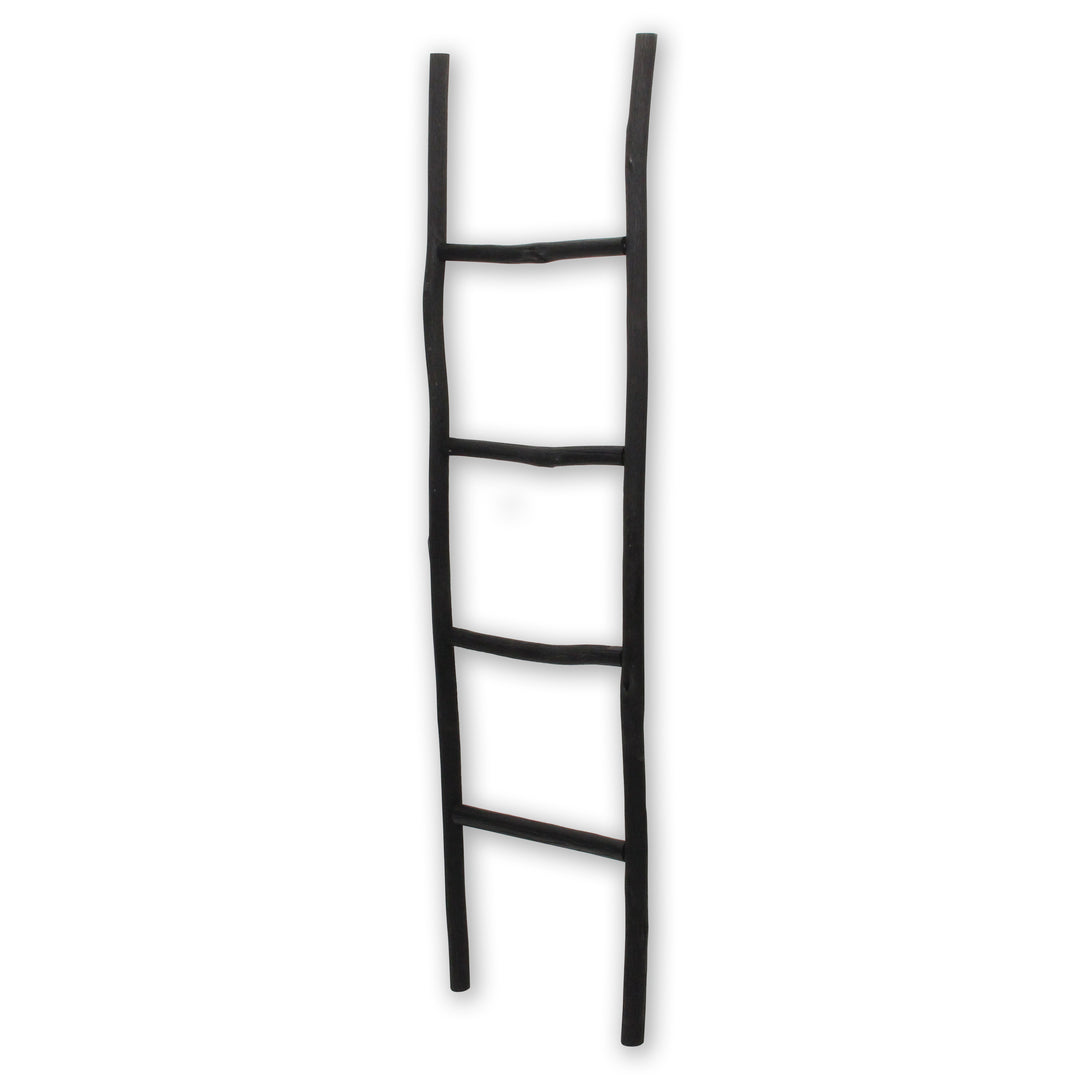 5310 - Theron Wood Décor Ladder