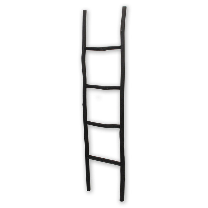 5310 - Theron Wood Décor Ladder