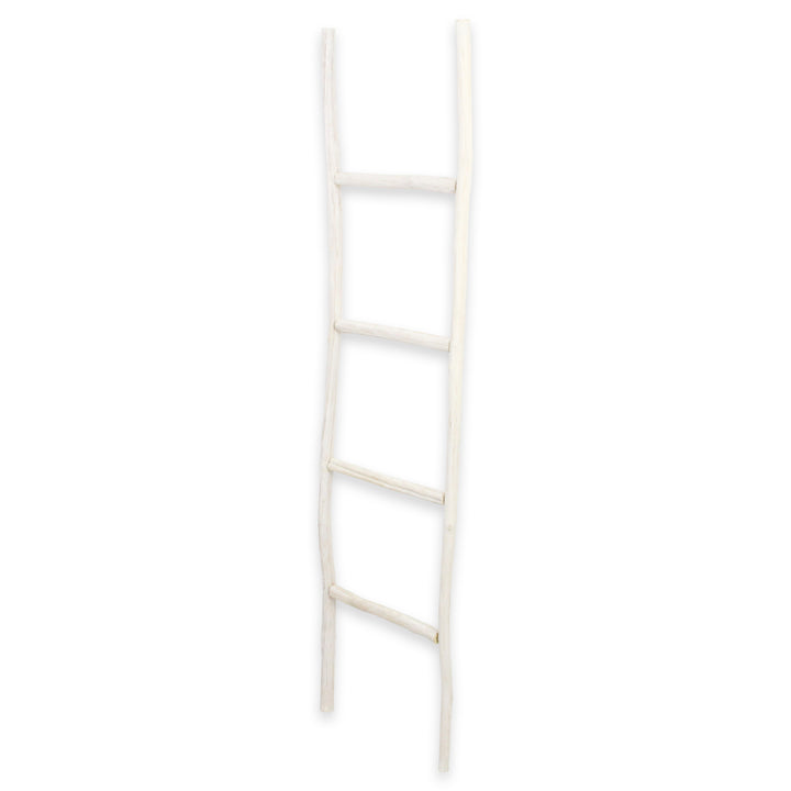5310 - Theron Wood Décor Ladder