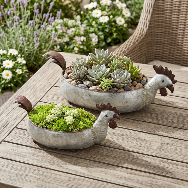 5597-2 - Dottie Hen Planters