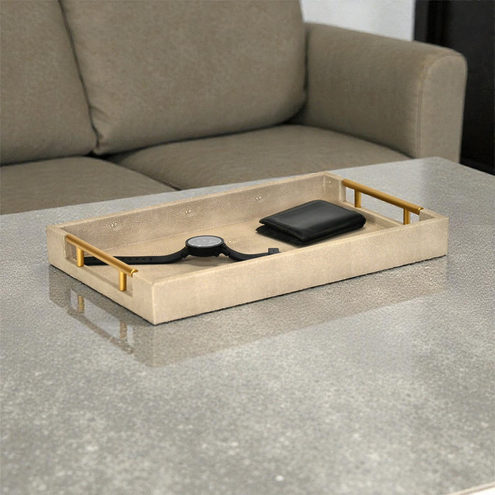 5823 - Lusan Vinyl Tray