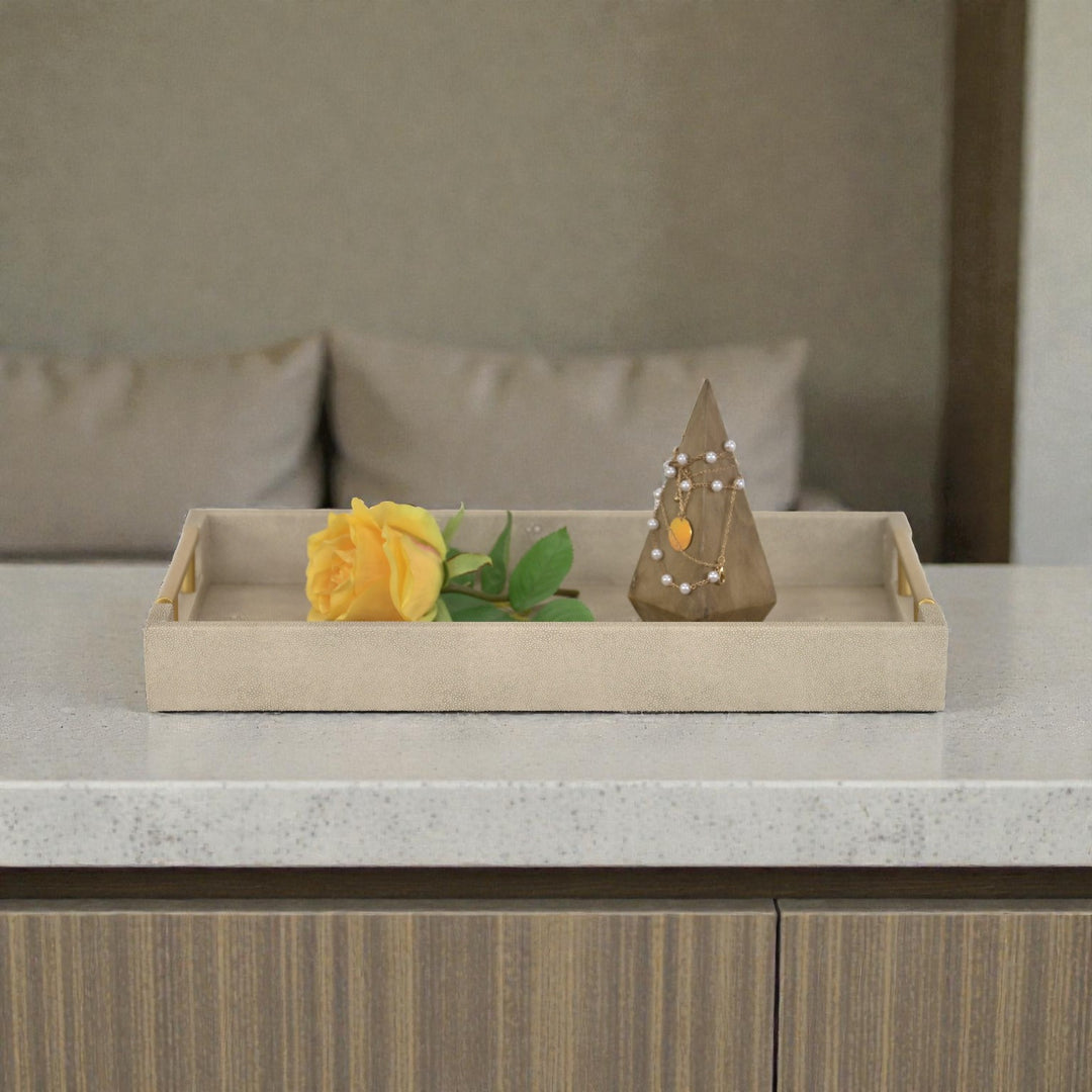 5823 - Lusan Vinyl Tray