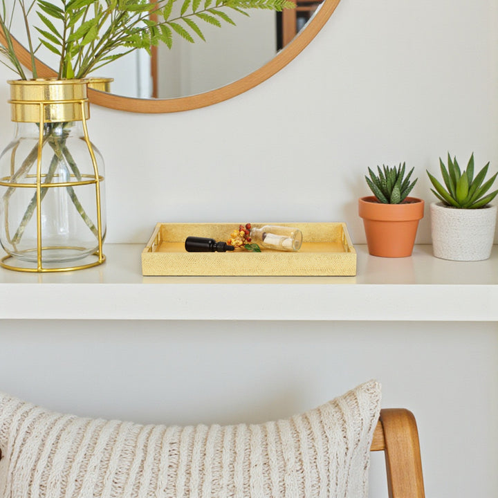 5823 - Lusan Vinyl Tray