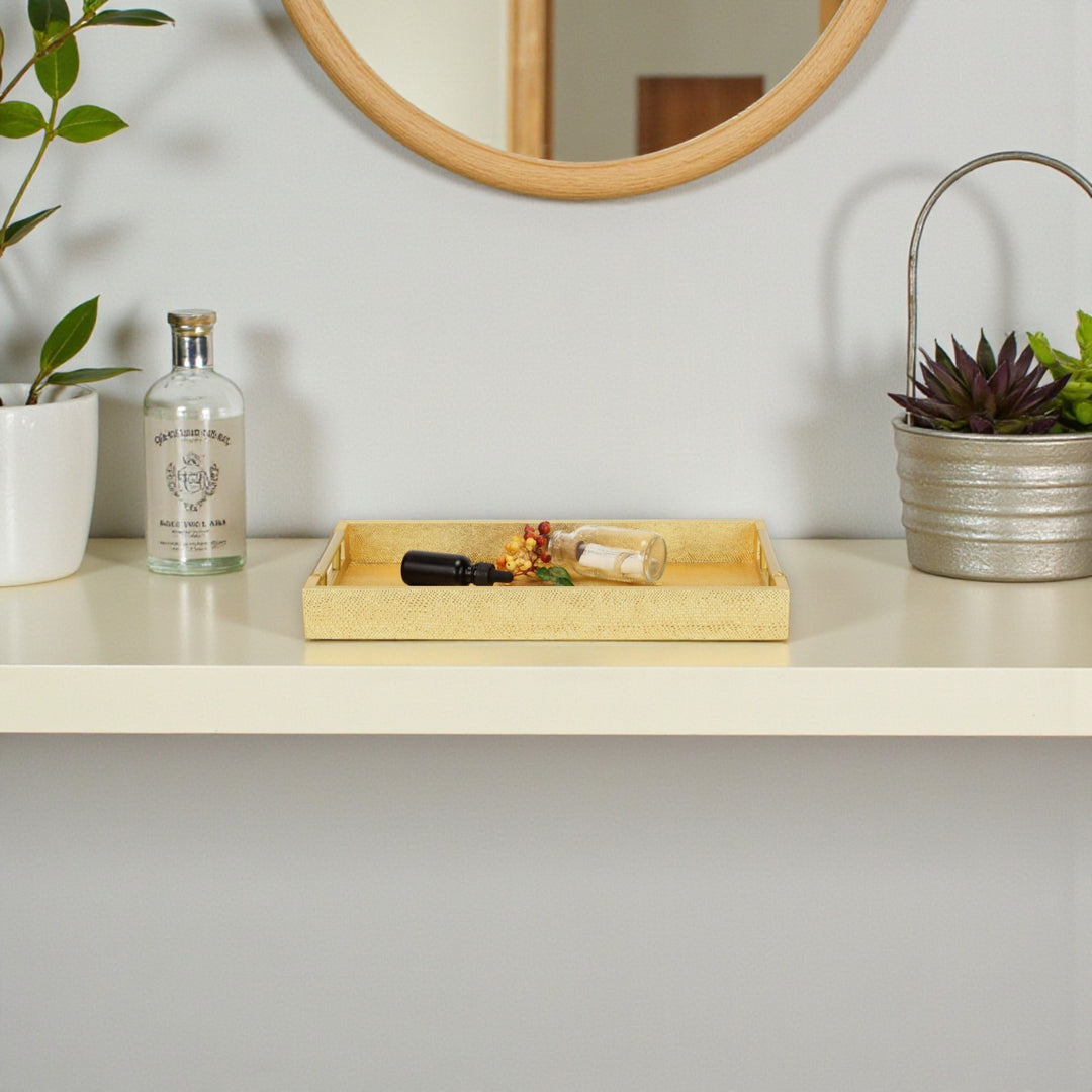 5823 - Lusan Vinyl Tray