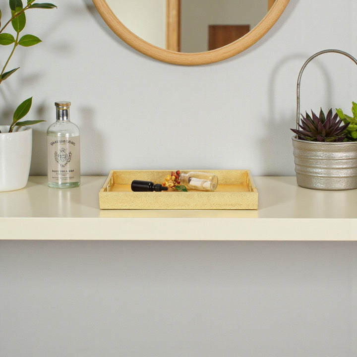 5823 - Lusan Vinyl Tray