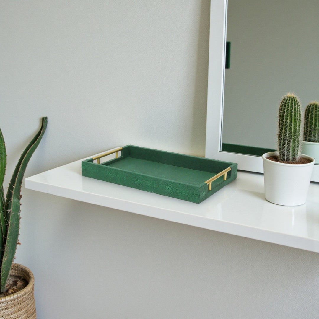 5823 - Lusan Vinyl Tray