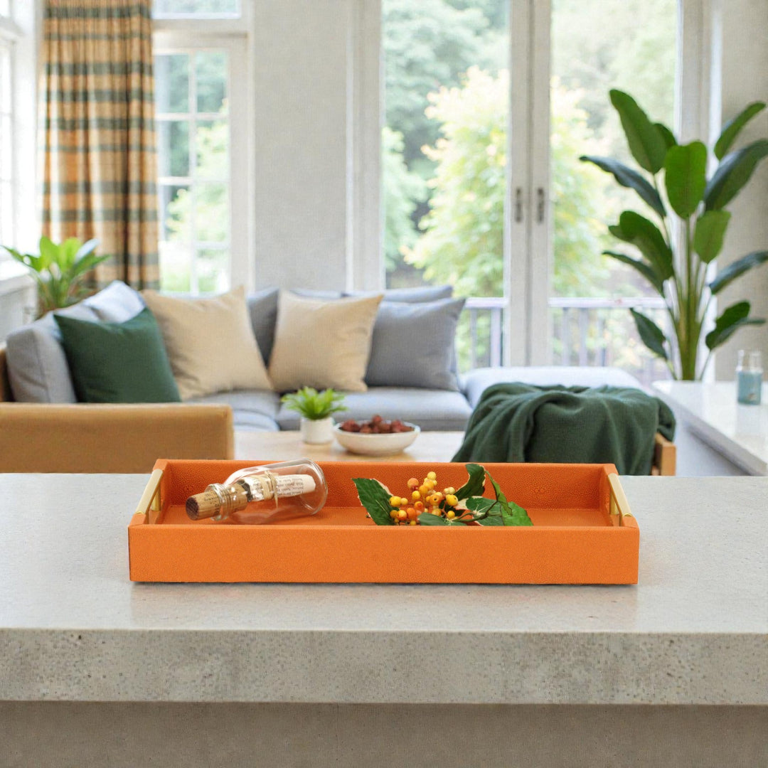 5823 - Lusan Vinyl Tray