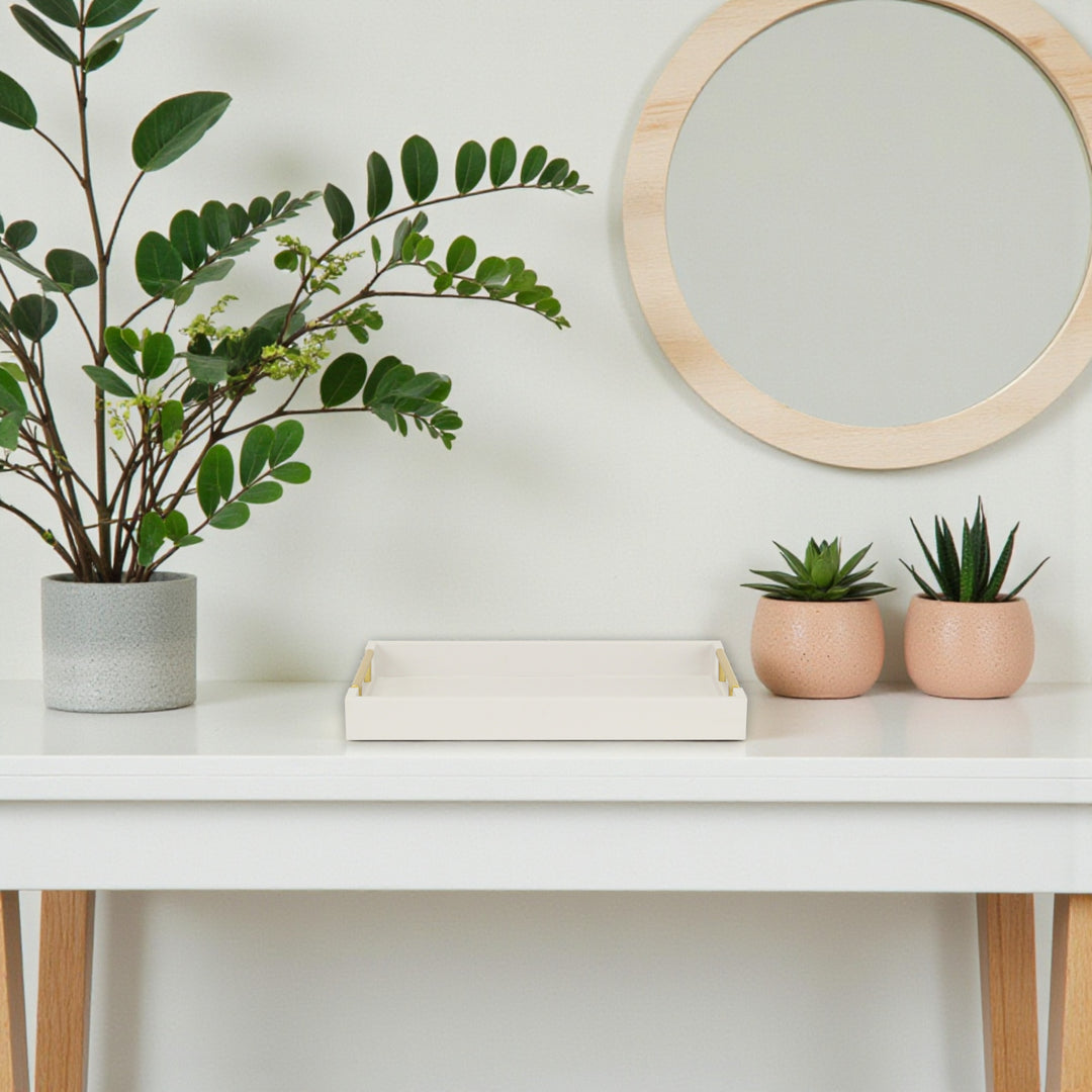 5823 - Lusan Vinyl Tray