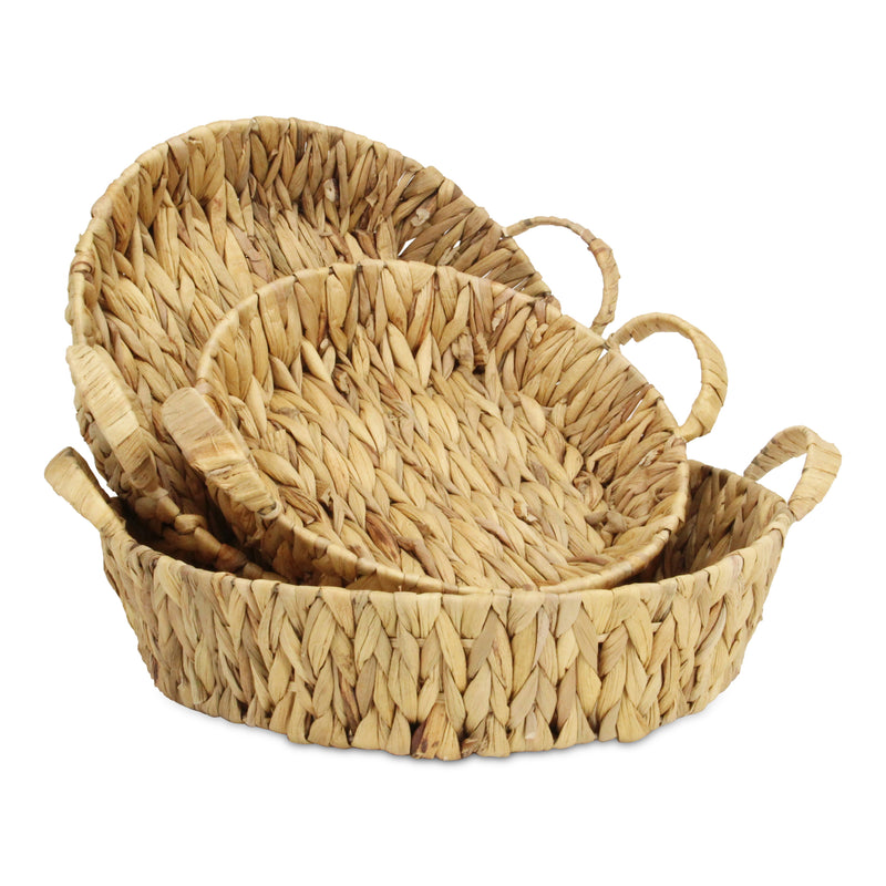 5827-3<p>Laelia Round Hyacinth Trays</p>