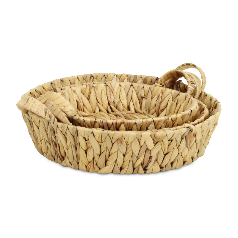 5827-3<p>Laelia Round Hyacinth Trays</p>