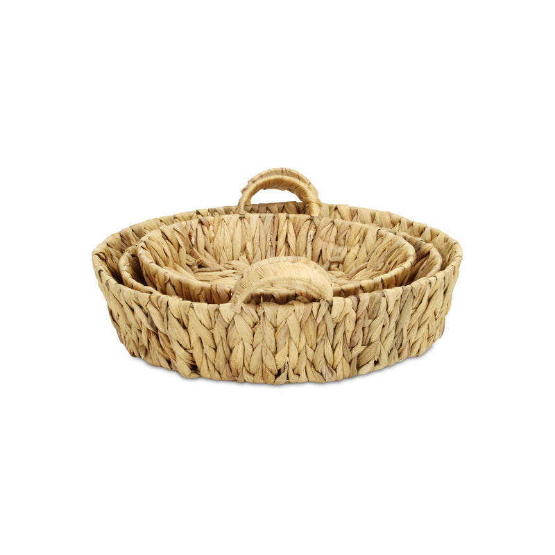 5827-3<p>Laelia Round Hyacinth Trays</p>