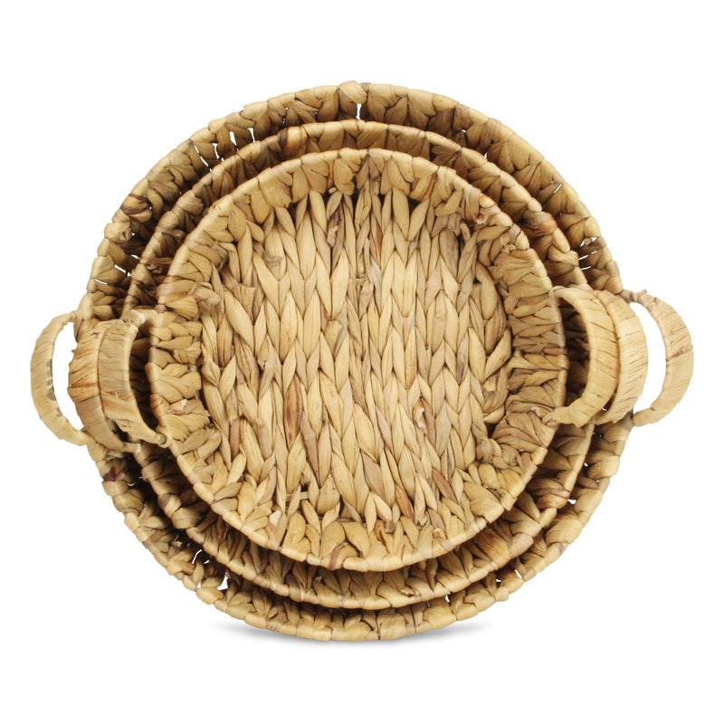 5827-3<p>Laelia Round Hyacinth Trays</p>