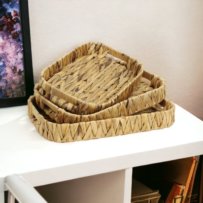 5828-3<p>Laelia Hyacinth Trays</p>
