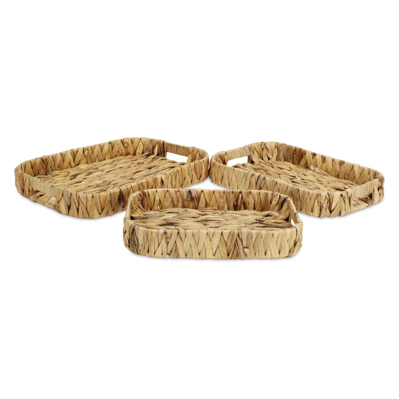 5828-3<p>Laelia Hyacinth Trays</p>