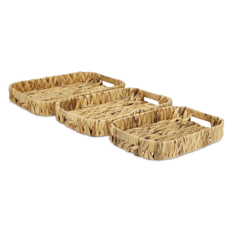 5828-3<p>Laelia Hyacinth Trays</p>