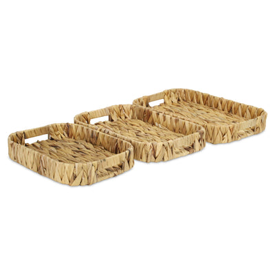 5828-3<p>Laelia Hyacinth Trays</p>