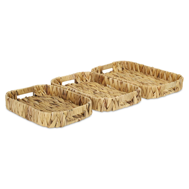 5828-3<p>Laelia Hyacinth Trays</p>