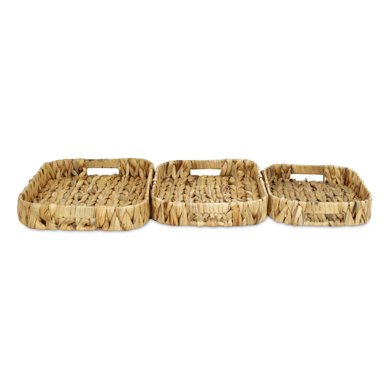 5828-3<p>Laelia Hyacinth Trays</p>