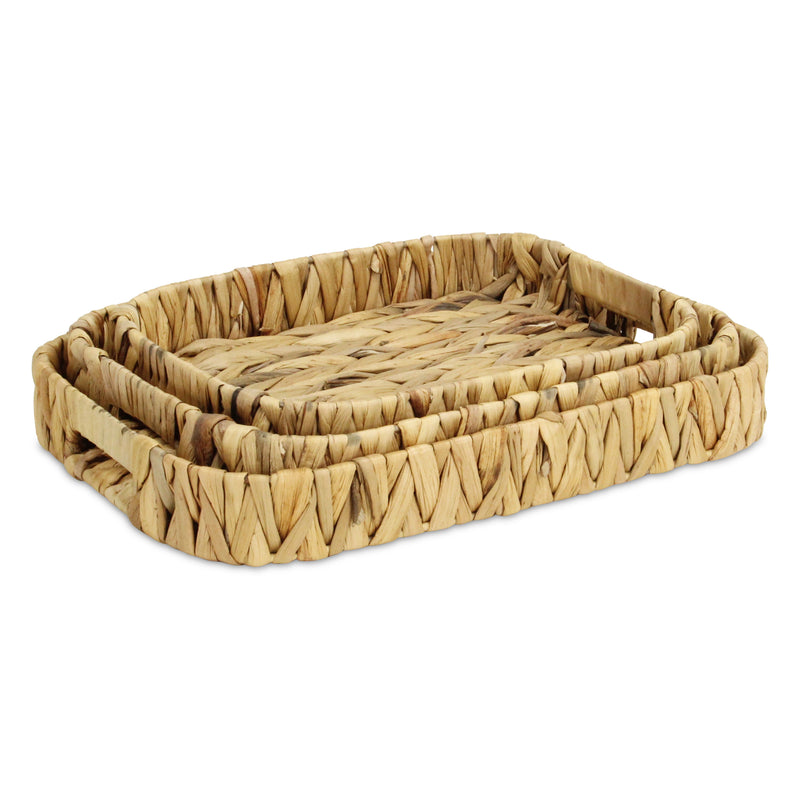 5828-3<p>Laelia Hyacinth Trays</p>