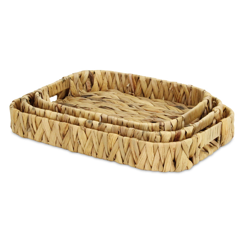 5828-3<p>Laelia Hyacinth Trays</p>