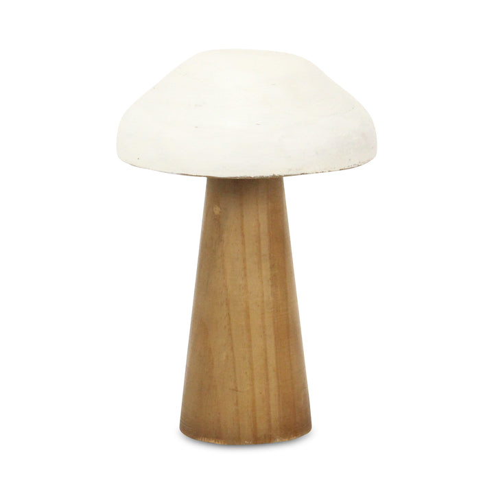 6005 - Hareton Forest Mushroom