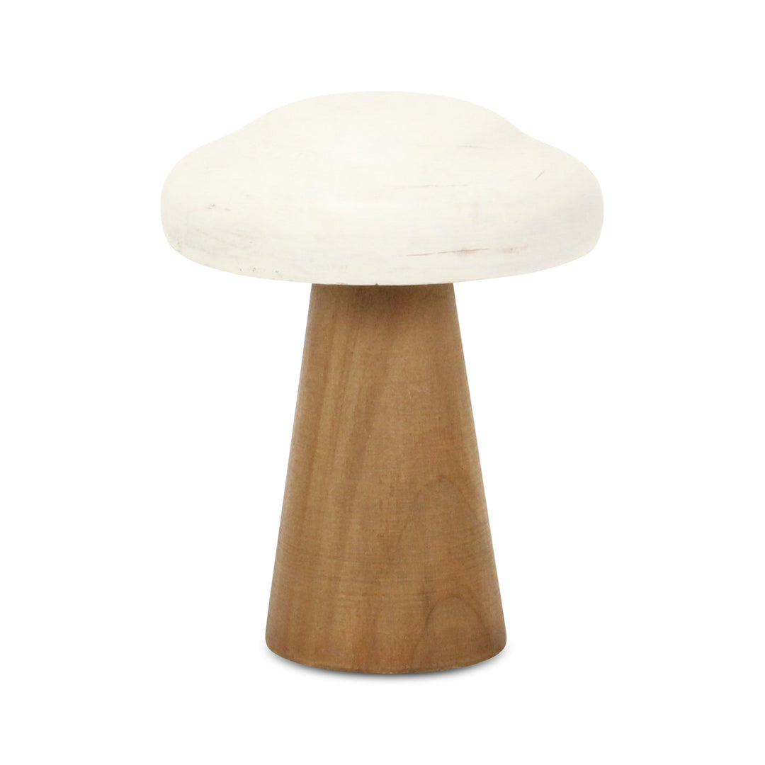 6005 - Hareton Forest Mushroom
