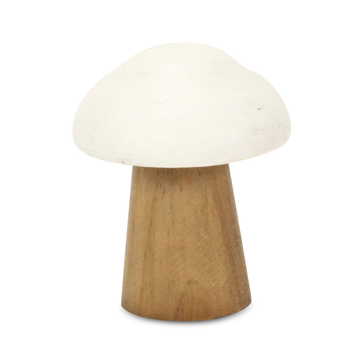 6005 - Hareton Forest Mushroom