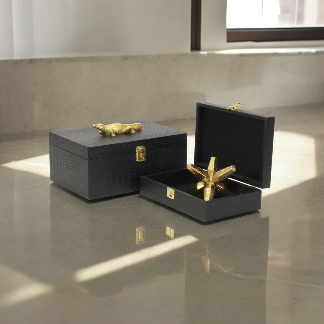 6061-2 - Canorus Faux Croco Box Set