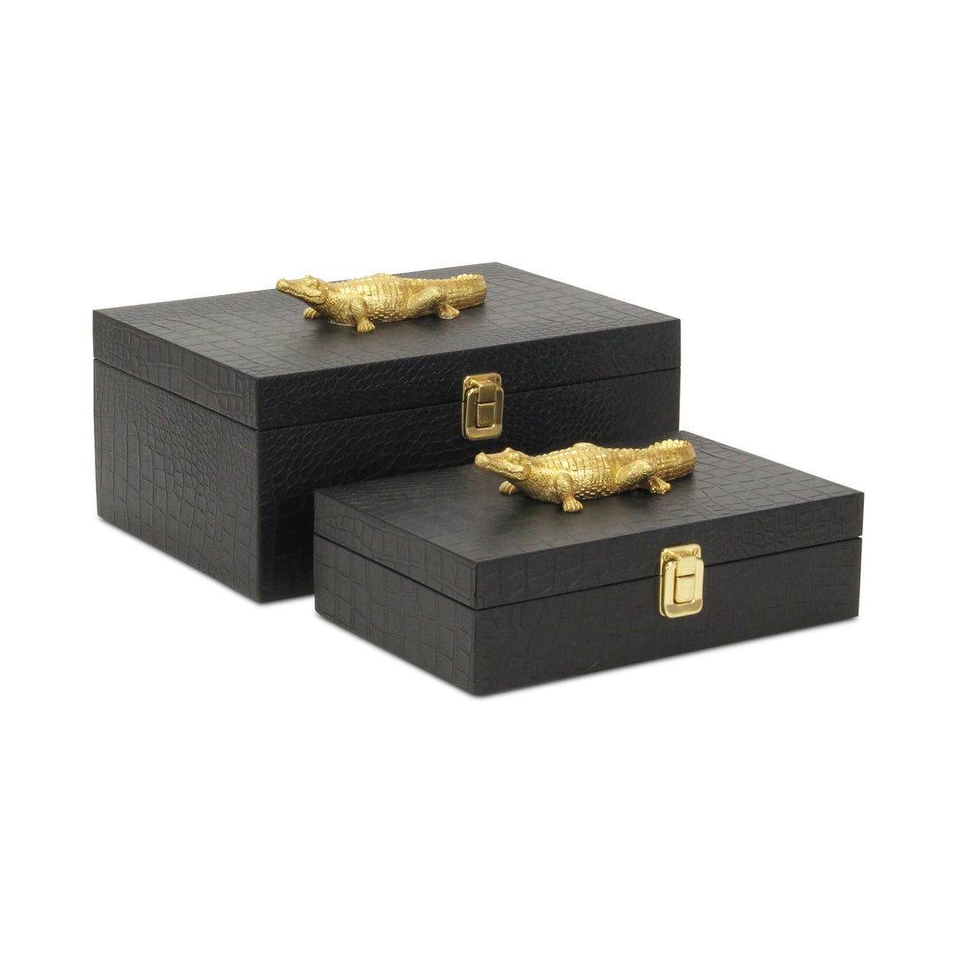 6061-2 - Canorus Faux Croco Box Set