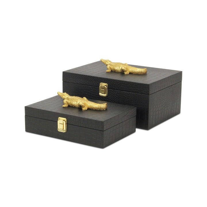 6061-2 - Canorus Faux Croco Box Set