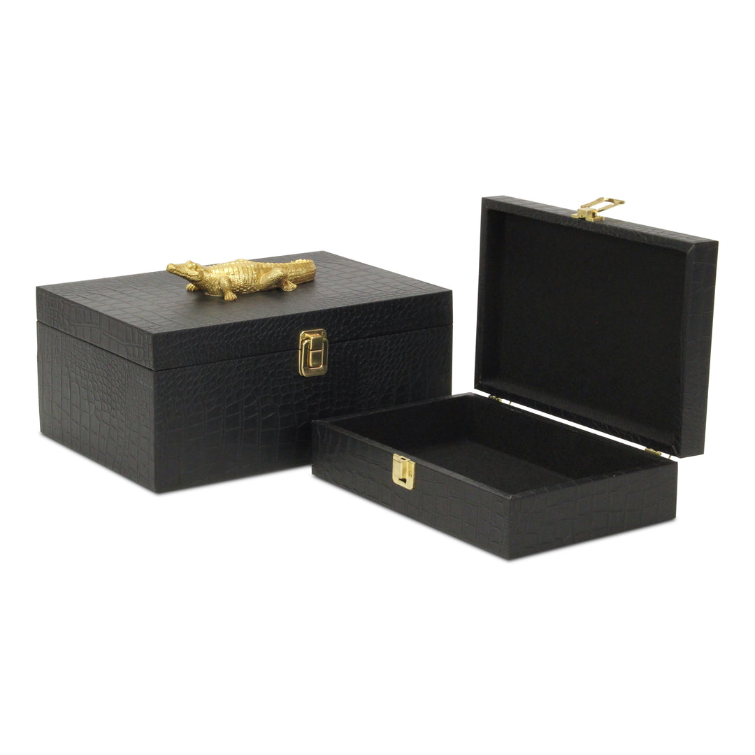 6061-2 - Canorus Faux Croco Box Set