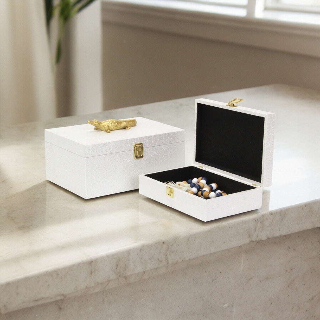 6061-2 - Canorus Faux Croco Box Set