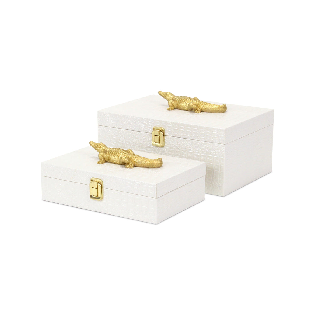 6061-2 - Canorus Faux Croco Box Set