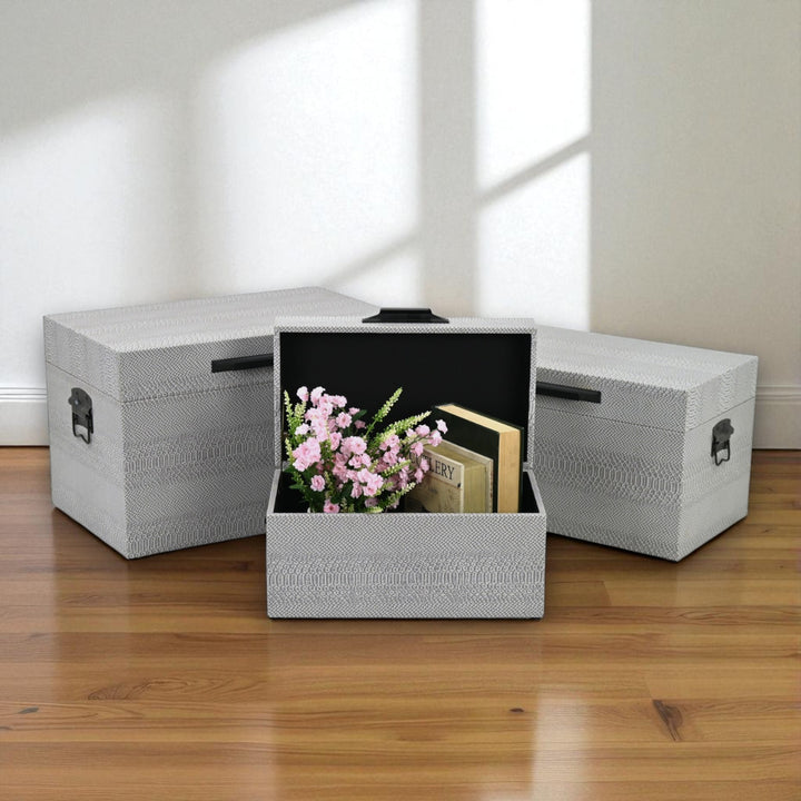 6202-3GR - Anouk Set of 3 Snakeskin Vinyl Trunks - Gray