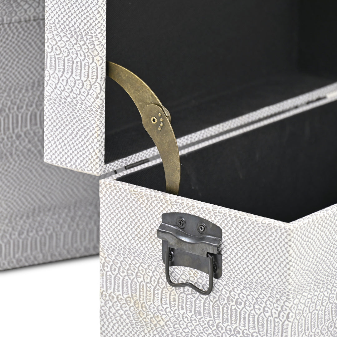 6202-3GR - Anouk Set of 3 Snakeskin Vinyl Trunks - Gray