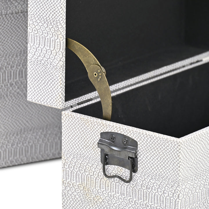 6202-3GR - Anouk Set of 3 Snakeskin Vinyl Trunks - Gray