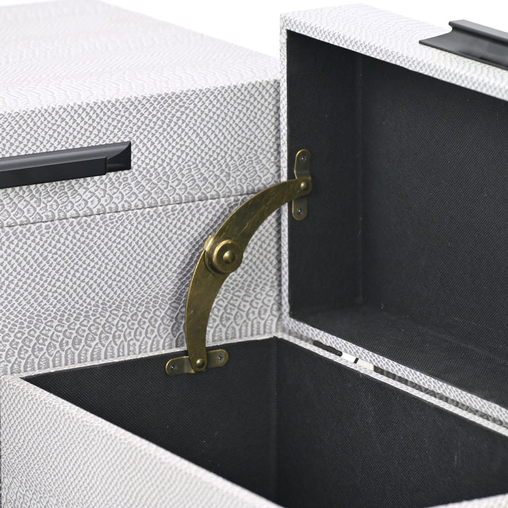 6202-3GR - Anouk Set of 3 Snakeskin Vinyl Trunks - Gray