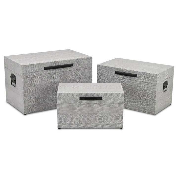 6202-3GR - Anouk Set of 3 Snakeskin Vinyl Trunks - Gray