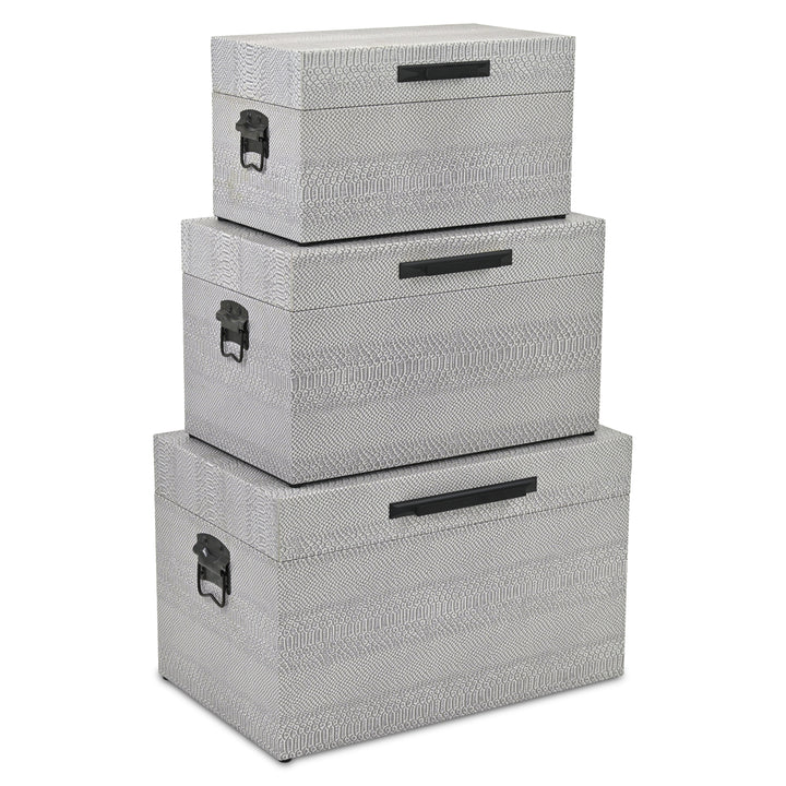 6202-3GR - Anouk Set of 3 Snakeskin Vinyl Trunks - Gray