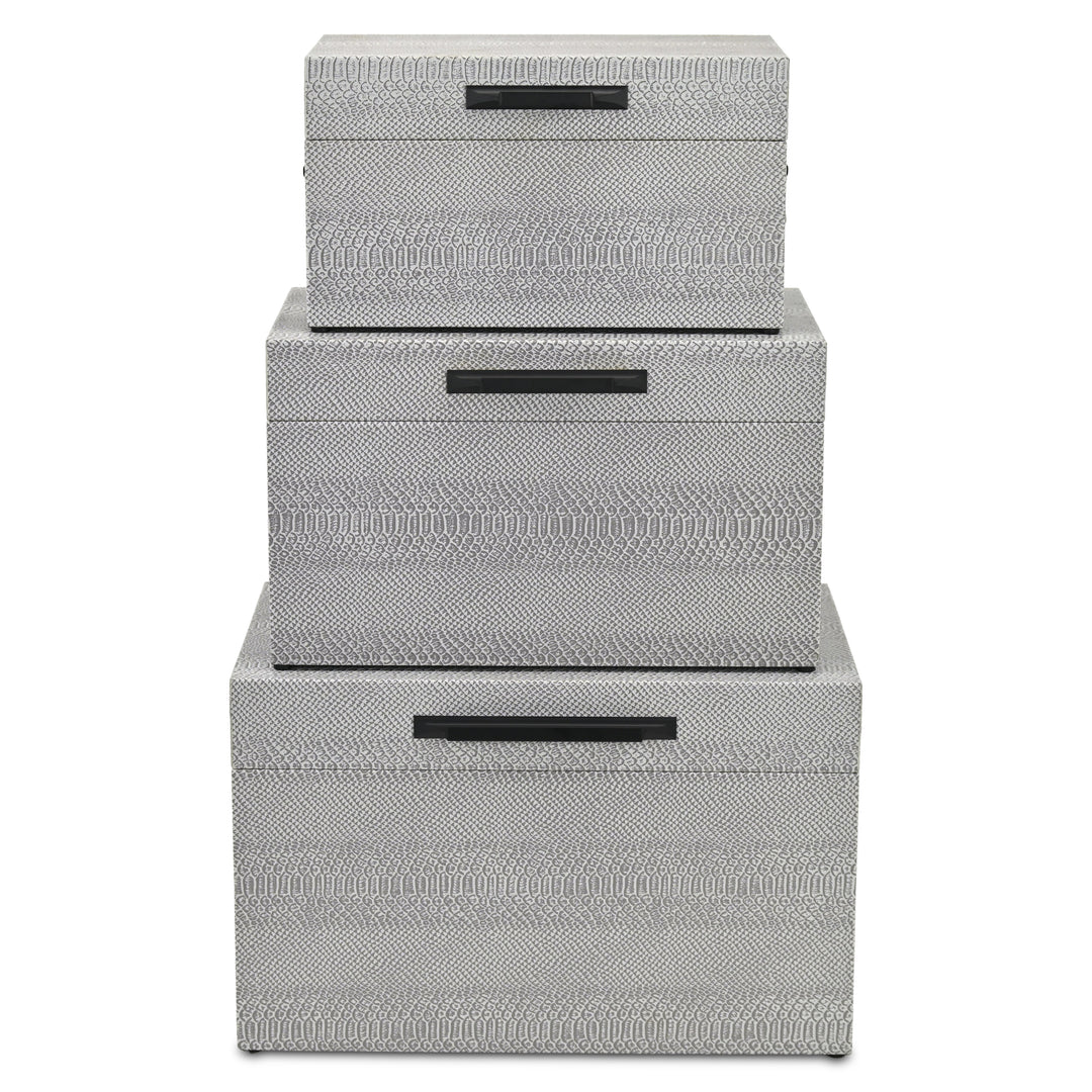 6202-3GR - Anouk Set of 3 Snakeskin Vinyl Trunks - Gray