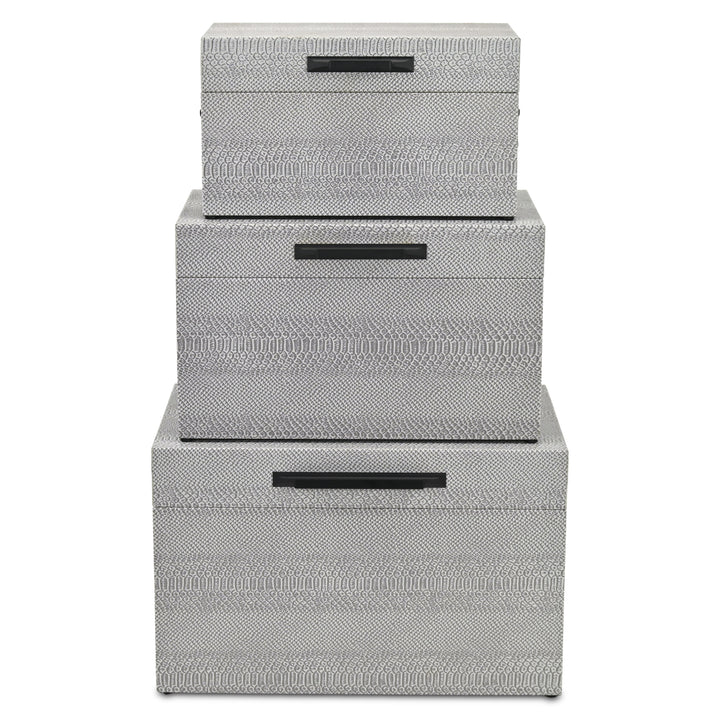 6202-3GR - Anouk Set of 3 Snakeskin Vinyl Trunks - Gray