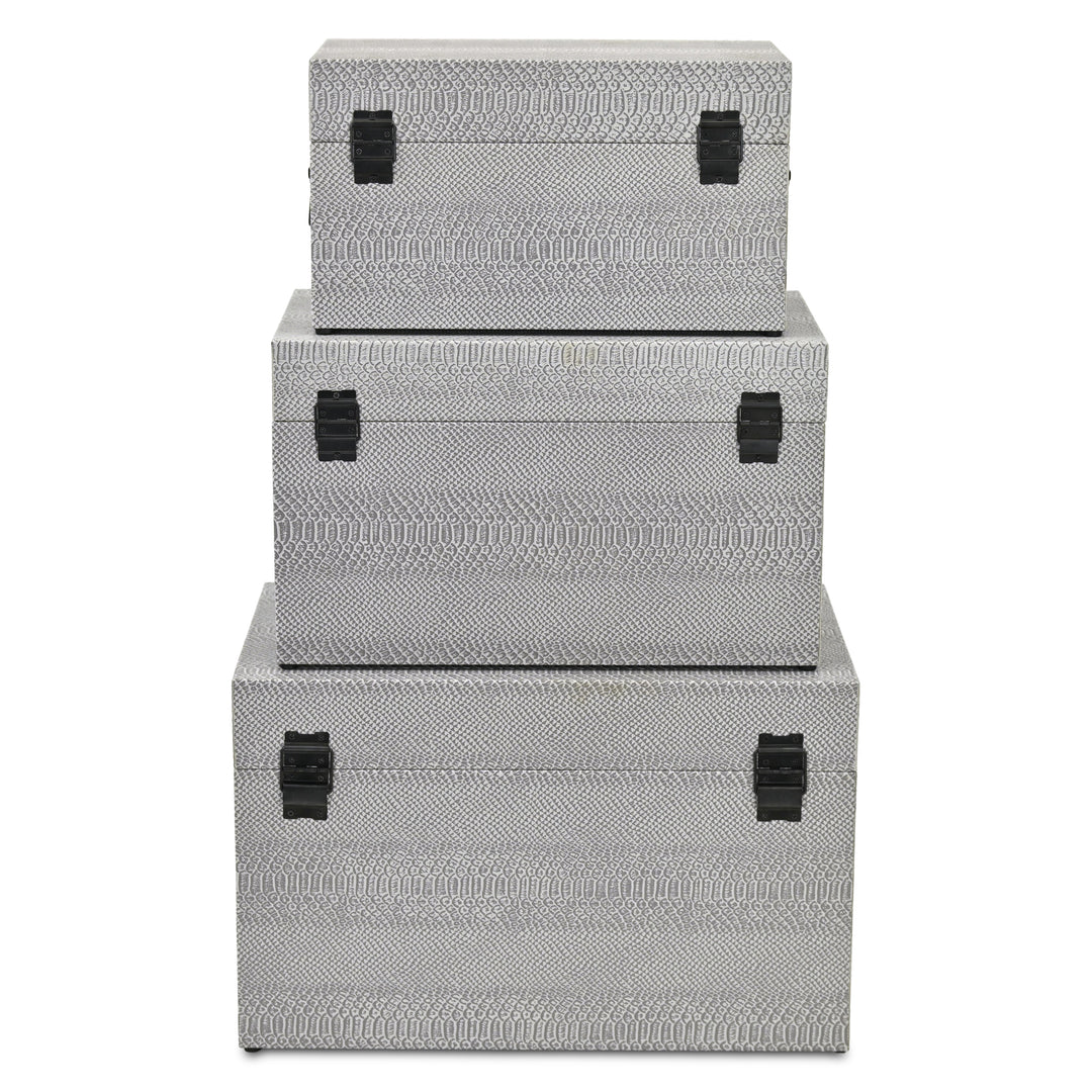 6202-3GR - Anouk Set of 3 Snakeskin Vinyl Trunks - Gray