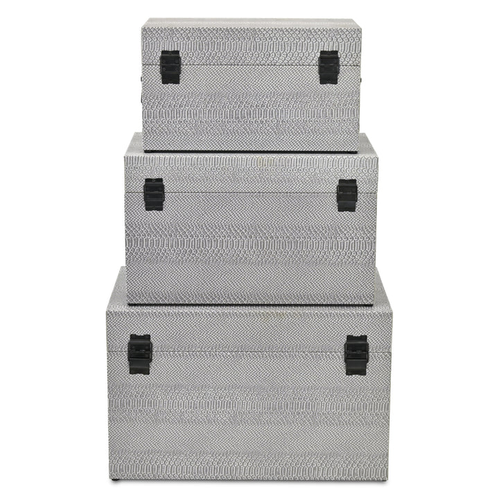 6202-3GR - Anouk Set of 3 Snakeskin Vinyl Trunks - Gray