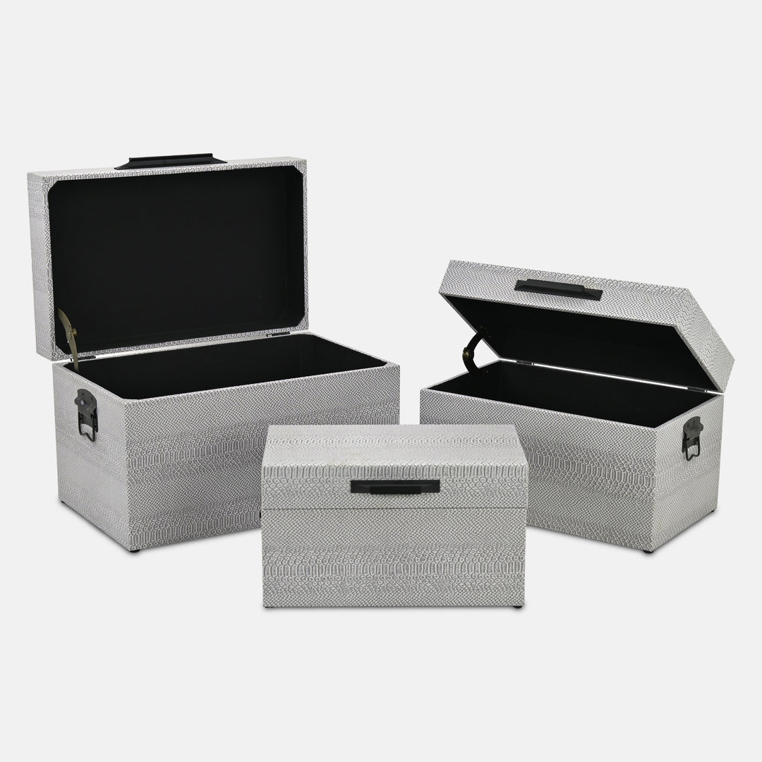 6202-3GR - Anouk Set of 3 Snakeskin Vinyl Trunks - Gray