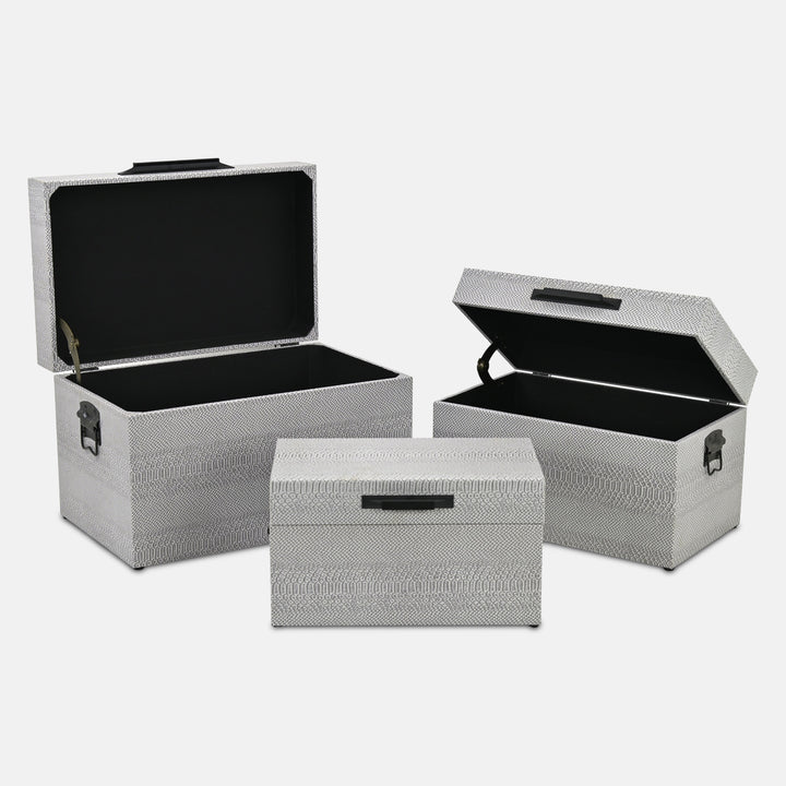 6202-3GR - Anouk Set of 3 Snakeskin Vinyl Trunks - Gray