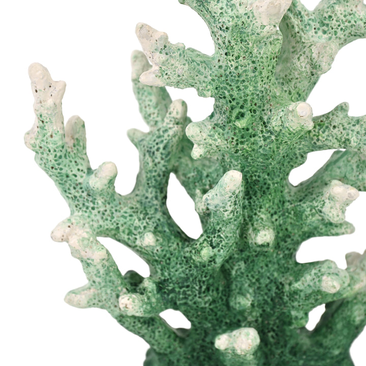 6207GRN - Callidora Resin Coral Decor