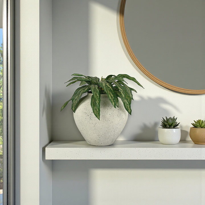 6244 - Tsaura Rustic White Wide Vase