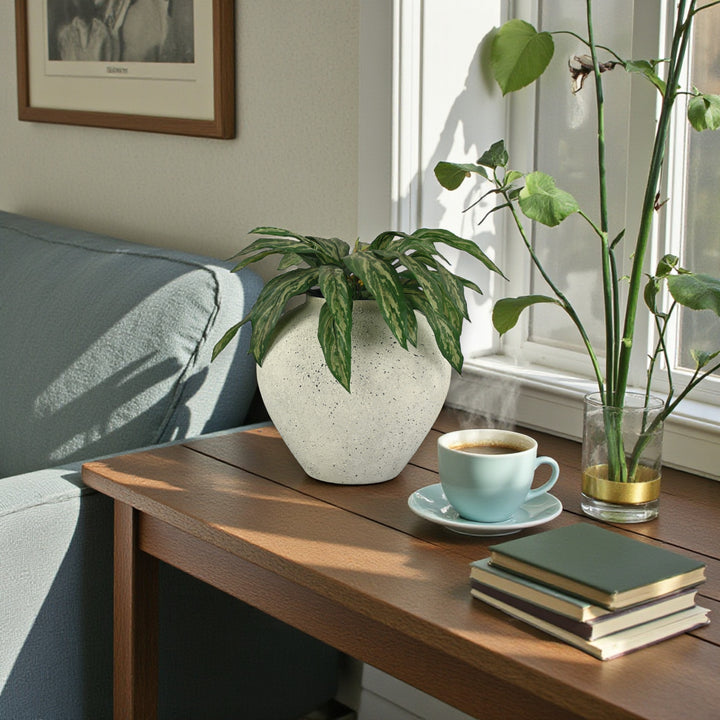 6244 - Tsaura Rustic White Wide Vase