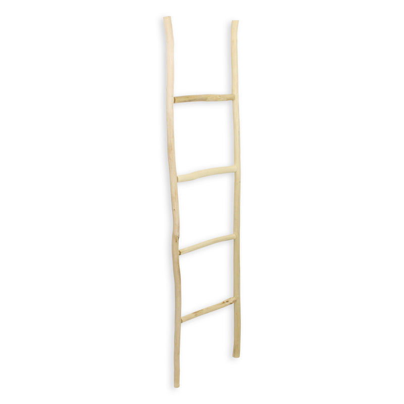 5310 - Theron Wood Ladder